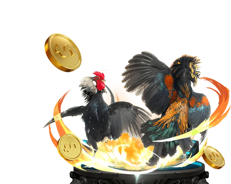 Hoàn Trả Cược Đá Gà 5699win